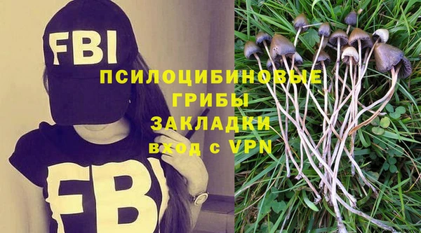 МДПВ Алексин