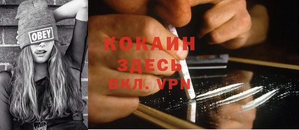 амф Новозыбков