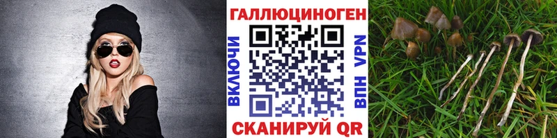 Псилоцибиновые грибы мицелий  Салехард 