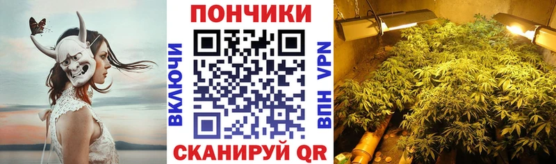 Бошки марихуана White Widow  наркота  darknet наркотические препараты  Салехард 